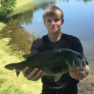 Meet your Posher, Joey